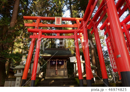 滋賀県多賀町にある多賀大社境内の金咲稲荷神社の鳥居と拝殿です 46974825