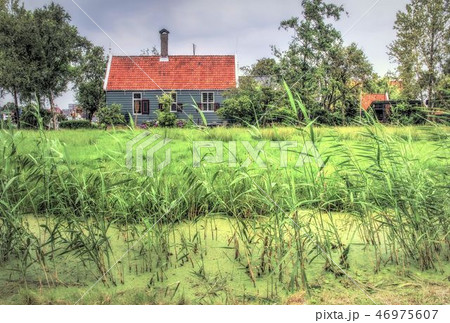 Authentic dutch landscape 46975607