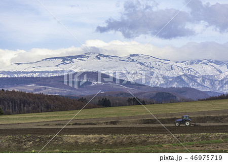 春の農作業 春の農作業 46975719