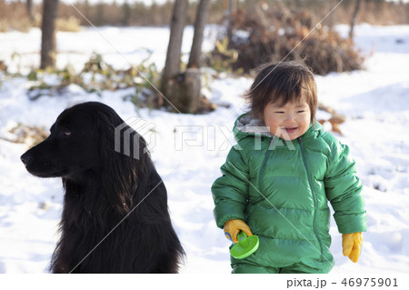 雪で遊ぶ子どもと犬 46975901