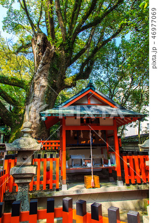 伊勢宮（長崎九社）　【長崎市】 46977069