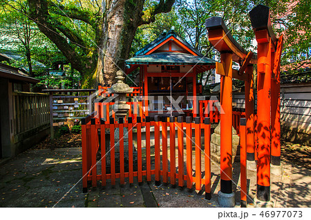 伊勢宮（長崎九社）　【長崎市】 46977073