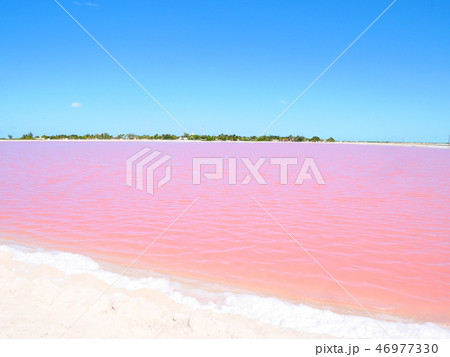 メキシコ・ユカタン半島のピンクレイク 46977330
