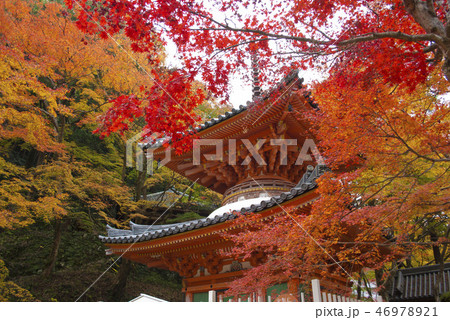 牛滝山 大威徳寺の紅葉 朱塔 牛滝山 大威徳寺の紅葉 朱塔 46978921