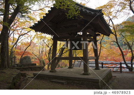 牛滝山　大威徳寺の釣り鐘　紅葉 46978923
