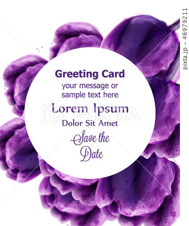 Purple Tulip flowers round card Vector watercolor 46979211