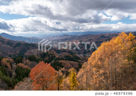 晩秋の大望峠 46979396
