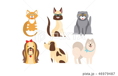 Cats and dogs of different breeds set, cute pets, domestic animals, best friends vector Illustration Cats and dogs of different breeds set, cute pets, domestic animals, best friends vector Illustration 46979487