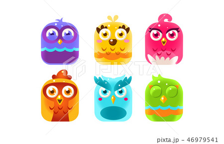 Collection of colorful glossy birds, lovely bright birdies vector Illustration Collection of colorful glossy birds, lovely bright birdies vector Illustration 46979541