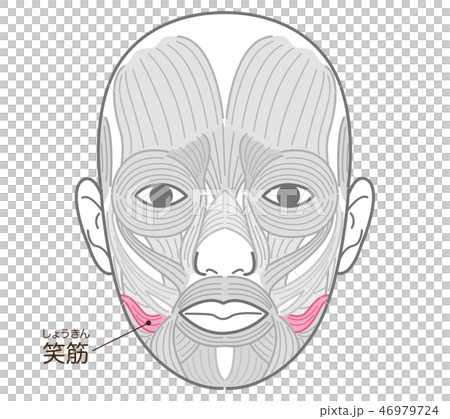 笑肌(獎) 笑肌(獎) 46979724