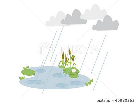 池に降る雨 梅雨のイラスト 水際の生物 雨が降っている風景 自然の景観 梅雨の風景のイメーのイラスト素材