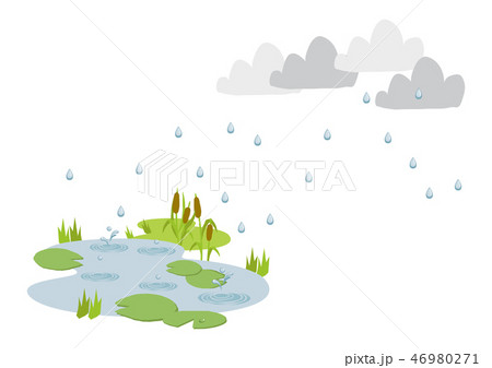 池に降る雨 梅雨のイラスト 水際の生物 雨が降っている風景 自然の景観 梅雨の風景のイメーのイラスト素材