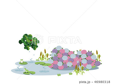 池に降る雨 梅雨のイラスト 水際の生物 雨が降っている風景 自然の景観 梅雨の風景のイメーのイラスト素材