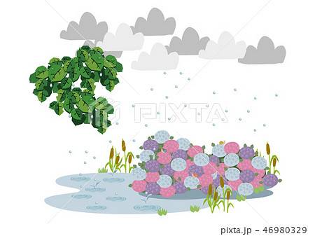 池に降る雨 梅雨のイラスト 水際の生物 雨が降っている風景 自然の景観 梅雨の風景のイメーのイラスト素材