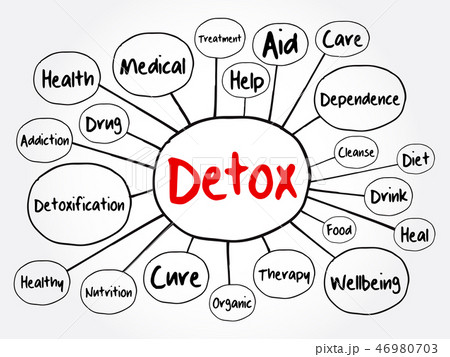DETOX mind map flowchart 46980703