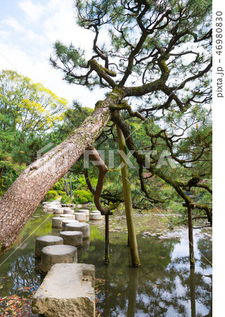 平安神宮神苑 臥龍橋 がりゅうきょう (京都府京都市左京区) 2017年4月 平安神宮神苑 臥龍橋 がりゅうきょう (京都府京都市左京区) 2017年4月 46980830