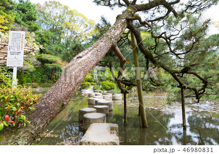 平安神宮神苑 臥龍橋 がりゅうきょう （京都府京都市左京区） 2017年4月 46980831