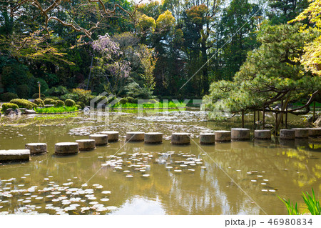 平安神宮神苑 臥龍橋 がりゅうきょう （京都府京都市左京区） 2017年4月 46980834