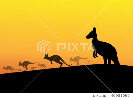 Group of kangaroos in desert, silhouette vector 46981066