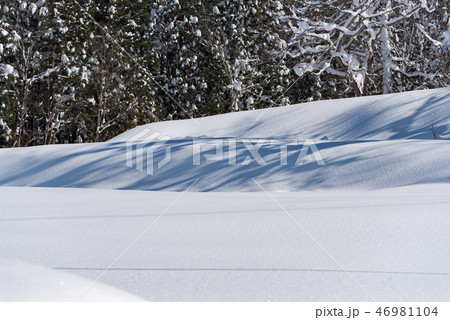段々畑の雪 段々畑の雪 46981104