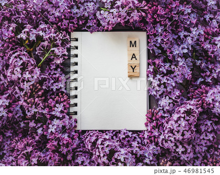 Sketchbook, blank page and bright lilac flowers 46981545