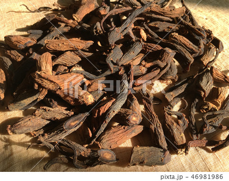 紅参 健康 健康食品 46981986