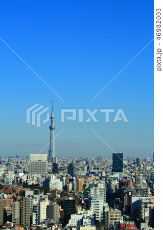 東京都　都市風景　東京スカイツリーのある風景 46982003