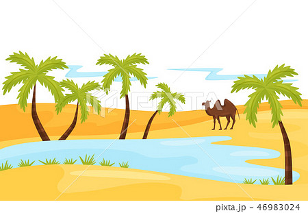 Sandy Landscape With Blue Lake Brown Camel And のイラスト素材