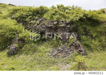 阿蘇山 南阿蘇村 九州 阿蘇山 南阿蘇村 九州 46983311