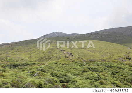 阿蘇山　南阿蘇村　九州 46983337