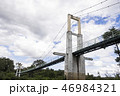Suspension bridge 46984321