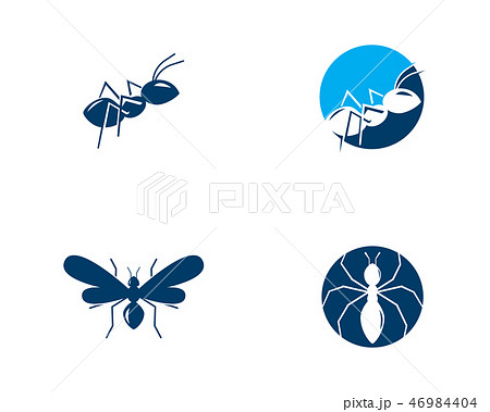 Ant vector illustration design 46984404