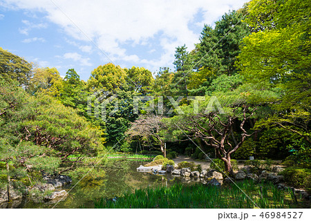 平安神宮神苑の風景 （京都府京都市左京区） 2017年4月 46984527