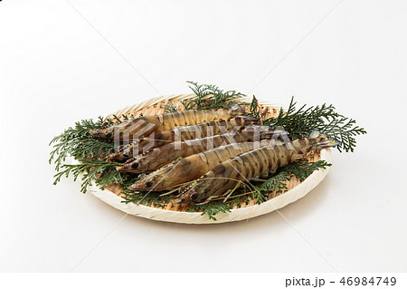 車海老 車海老 46984749