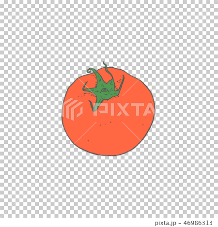 番茄插畫 46986313