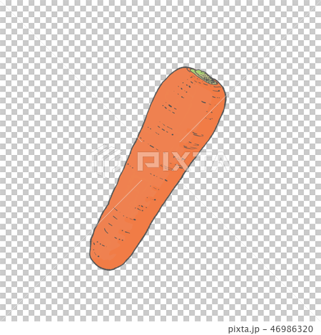 Carrots illustration Carrots illustration 46986320