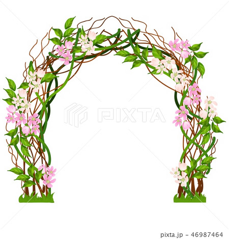 Wedding Arch Decorated With Pink Flower Buds Stock Illustration