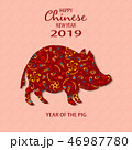 Happy Chinese New Year 2019 Year of the Pig 46987780