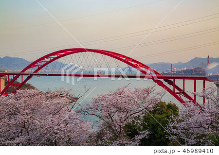桜 音戸の瀬戸公園の桜 桜 音戸の瀬戸公園の桜 46989410