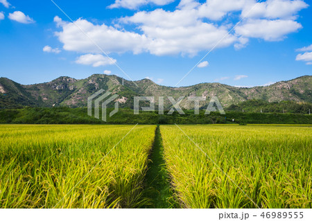 高砂の田園風景 46989555