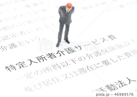 特定入所者介護サービス費 46989576