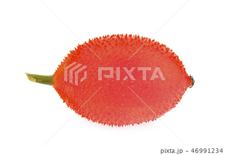 Momordica cochinchinensis Momordica cochinchinensis 46991234