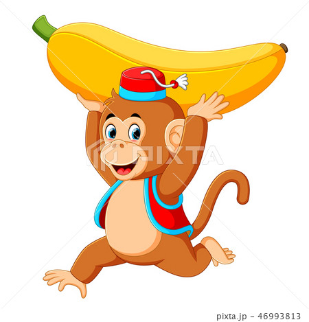 the circus monkey playing and holding up banana the circus monkey playing and holding up banana 46993813