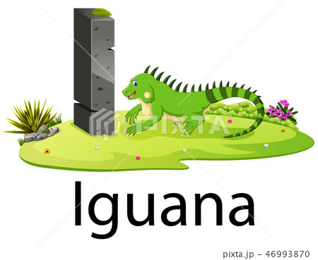 Cute Zoo Animal Alphabet I For Iguana のイラスト素材