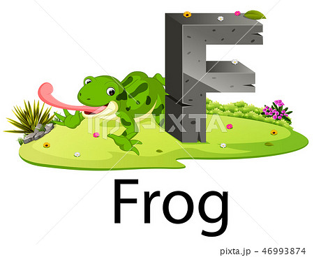cute zoo animal alphabet F for frog  46993874