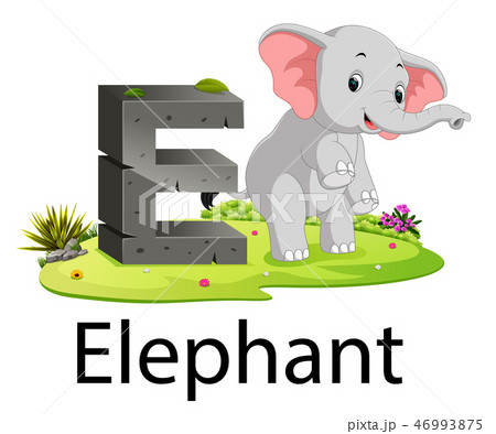 zoo animal alphabet E for Elephant  46993875