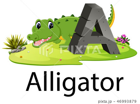 zoo animal alphabet A for alligator  46993879