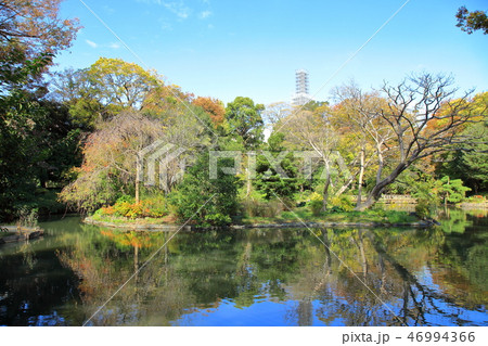 有栖川宮記念公園　　港区 46994366