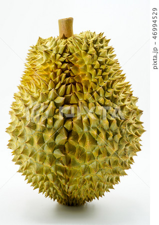 Fresh Cut Monthong Durian on white background 46994529