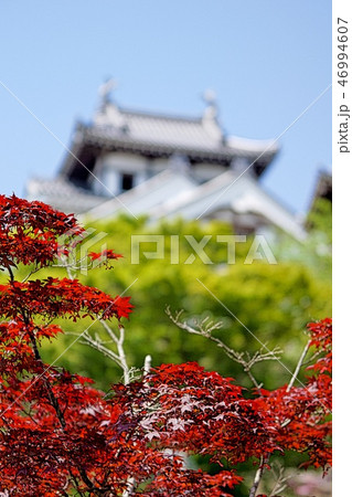 福知山城 46994607